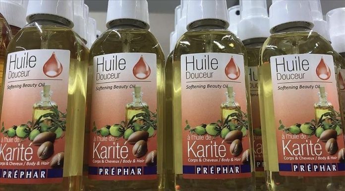 Climat Menace le Beurre de Karité au Sahel Climat Menace le Beurre de Karité au Sahel