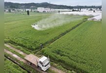 Produits Chimiques et Perturbation du Microbiote Intestinal Produits Chimiques et Perturbation du Microbiote Intestinal