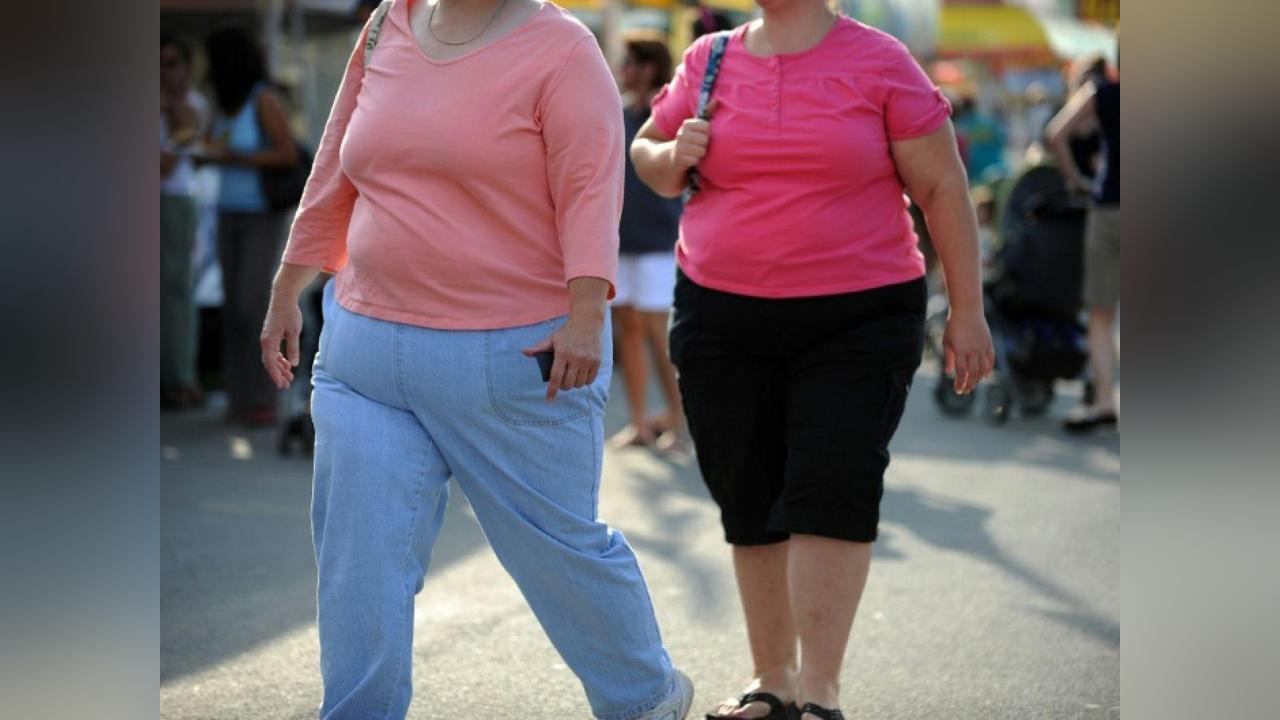 Poids Après Arrêt des Traitements Anti-Obésité Poids Après Arrêt des Traitements Anti-Obésité