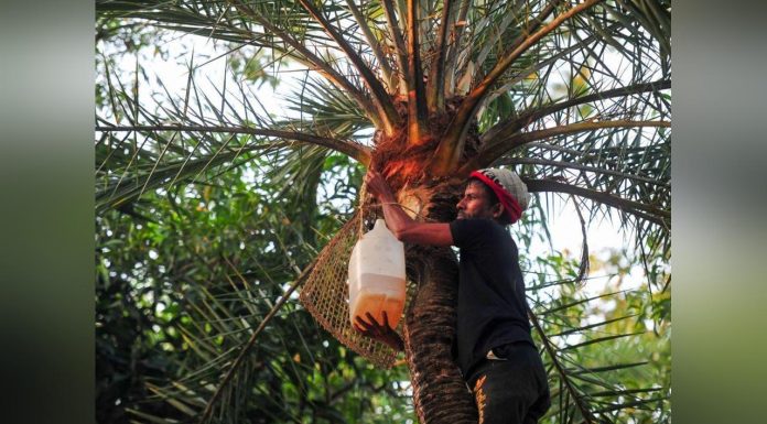 Nipah et autres Virus Rendant le Diagnostic Difficile Nipah et autres Virus Rendant le Diagnostic Difficile