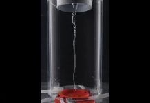 L’Art de Faire Vibrer les Tourbillons L’Art de Faire Vibrer les Tourbillons