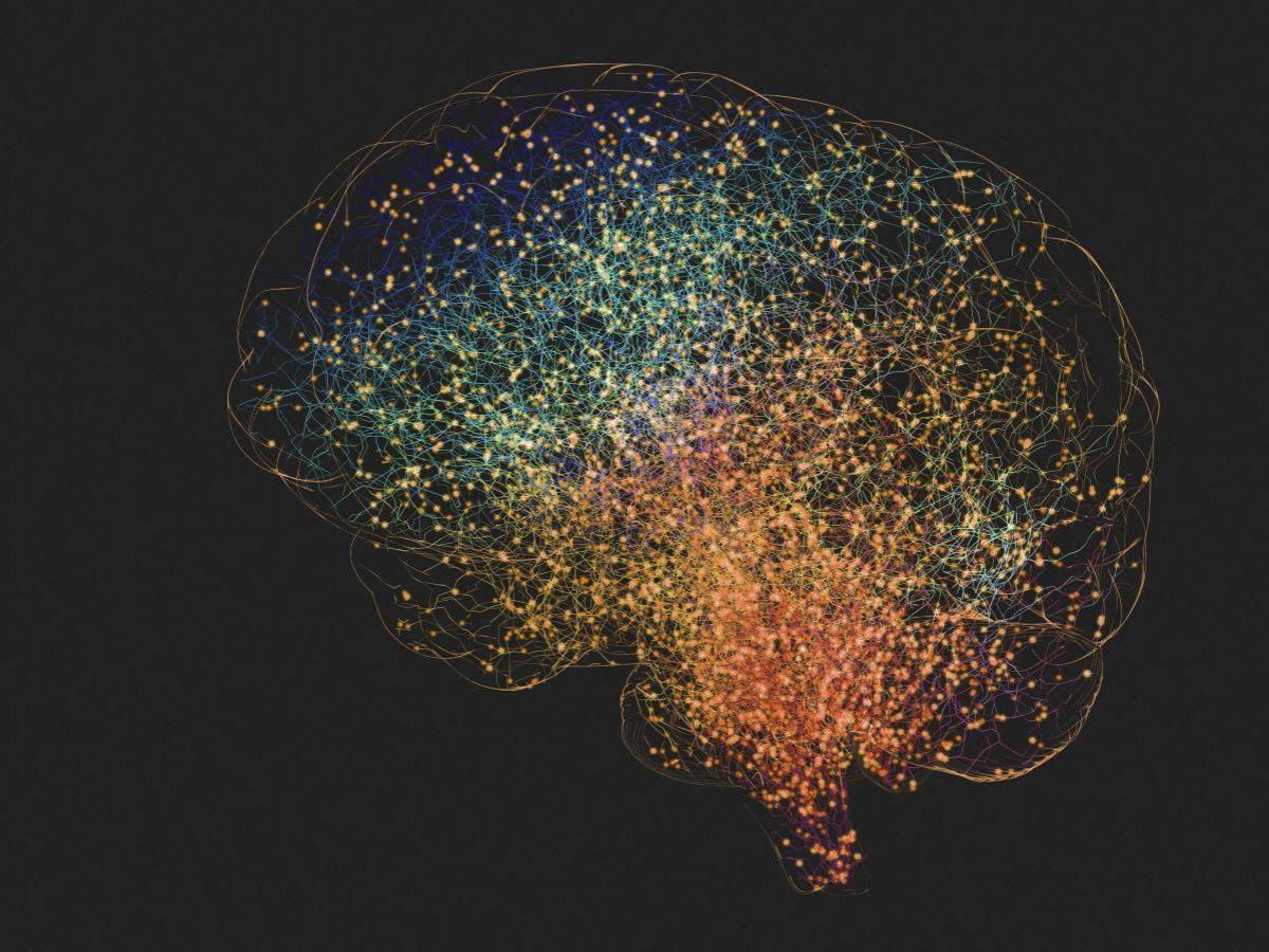 Prise de Sang Prédictive pour Alzheimer et Démences Prise de Sang Prédictive pour Alzheimer et Démences