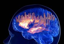 Mémoire: le Stress Aide-T-Il À Mieux Retenir? Mémoire: le Stress Aide-T-Il À Mieux Retenir?