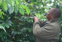 Farmers ask State to release coffee cash