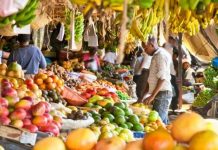 State concern for food security queried amid deep budget cuts