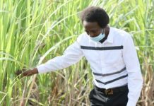 Cane farmers support CS Munya over sugar imports ban