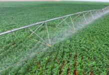 Phase One of Galana-Kulalu needs Sh700m to complete, State says