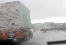 Cold weather, varying levels of rainfall to continue in parts of the country Weatherman