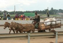 Constitution at 10: Economics must take centre stage