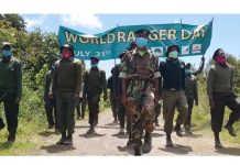 Over 100 rangers killed or maimed by poachers in past five years- KFS