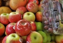Earnings from vegetables, fruits defy COVID-19 effects