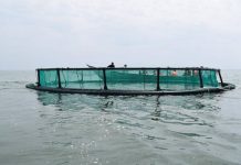 Striking Victory Farm staff resume after talks with management