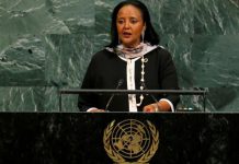 Amina Mohamed says she will focus on climate change if selected as WTO head