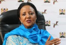 Kenya’s Amina Mohamed to reform trade systems if elected to WTO