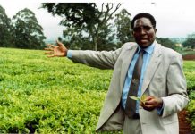 Inside battle for Nginyo Kariuki’s Sh4 billion empire