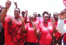 Kanu eyes Raila’s backyard in latest recruitment drive