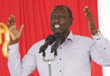 Let’s suspend politics, priotise Big Four Agenda- DP Ruto