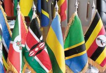 Lobby says flights return to boost Kenya-TZ trade