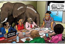 Race to fill Uhuru shoes in Mt Kenya kicks off