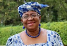 Nigeria’s Okonjo-Iweala proposed as WTO chief – trade sources
