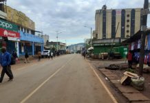 All systems go as Kisii hosts Mashujaa Day