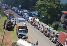 Thousands of truck drivers tested for Covid-19 in bid to reinvigorate economy