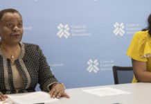 Trade experts call for swift implementation of African Continental Free Trade Area