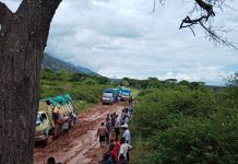 Poor roads mar trade in mango rich valley