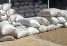Rice farmers in Budalangi stare at losses due to lack of market