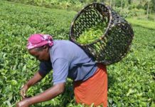 Trade between Kenya and Pakistan hits Sh100b annually