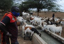 Sh7b water projects transform livelihoods