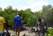 Alarm as mega projects ruin environment and livelihoods