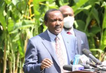 Go to DCI and clear your name, Kalonzo tells DP Ruto