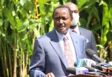 Kalonzo labels Ruto chief land grabber as he fights off accusation