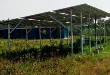 Sh450m solar project eyes food security in Lake Basin