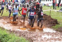 National Cross Country Championships: Kamworor and Kandie renew rivalry