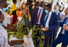 Sh5b agribiz programme to fund women, youth projects