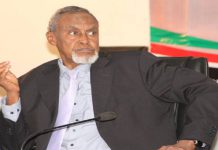 The jewel of politics and voice of reason in Senate