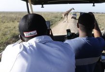 Balala, Karanga named for Savannah Classic