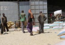 Farmers Federation protests restrictions on maize and milk by Kenya