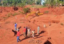 MPs move to ban export of local iron ore