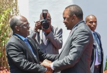 President Kenyatta affirms Kenya’s solidarity with Tanzania as country mourns former President Magufuli