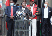 Kalonzo Apologises to Nairobi Billionaire After Mistakenly Mourning Him