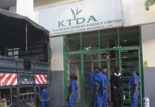 Jitters as ‘outgoing’ KTDA directors shop for a Sh1.7 billion loan