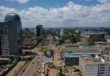 Nairobi is rapidly losing its green spaces: this could open the door to more diseases