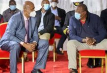 Badi: Favoured General Allowed to Sneak Uhuru Out of State House