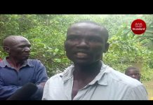 Boy,16, dies after drowning in an open quarry filled with rainwater in Mumias East