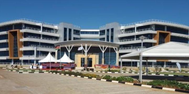 KCAA Takes Action as Birds Hover Over International Airport KCAA Takes Action as Birds Hover Over International Airport