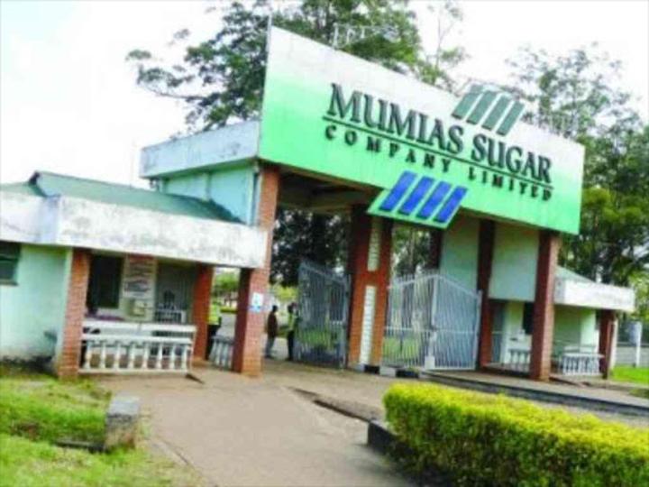 Investor tops Mumias Sugar bids at Sh27 billion - receiver manager Investor tops Mumias Sugar bids at Sh27 billion - receiver manager