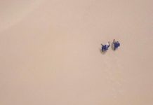 COP26: “Africa can become a leader in the energy transition” COP26: "Africa can become a leader in the energy transition"